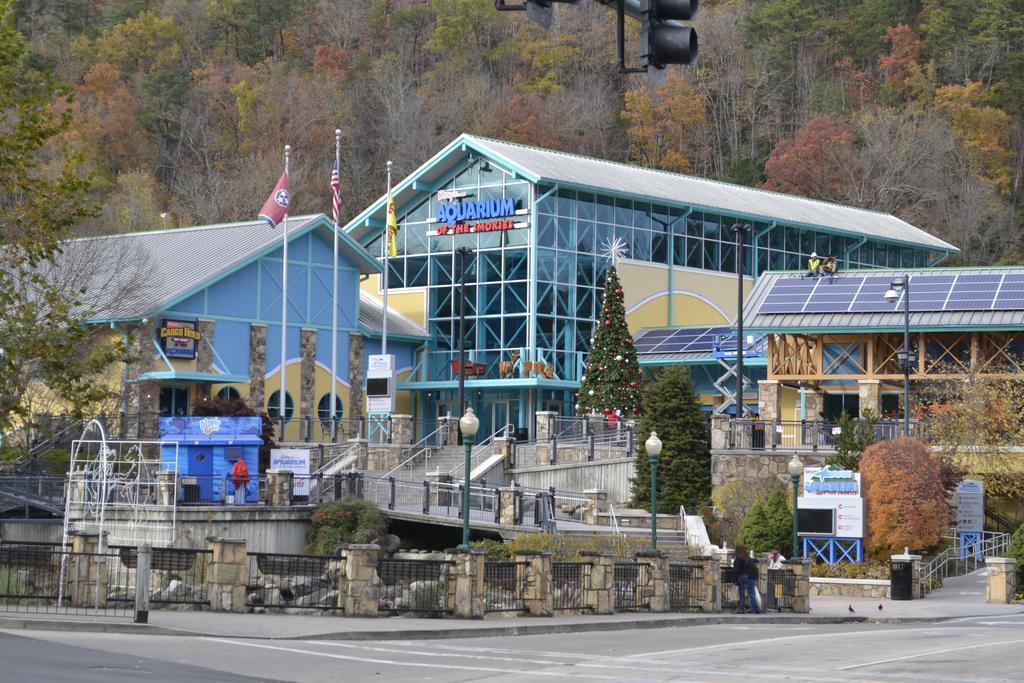 Rising Eagle Lodge - Eight Bedroom Pigeon Forge Exterior foto